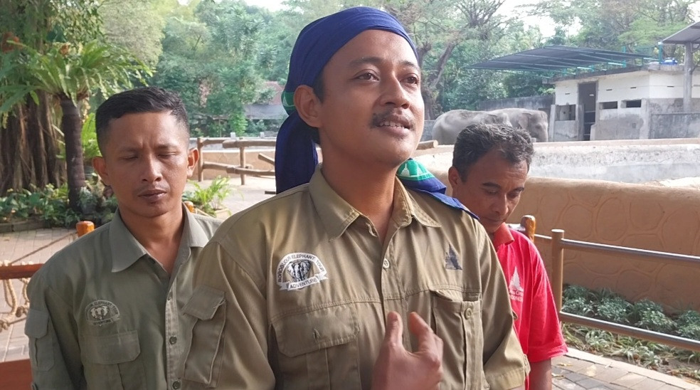 Kisah Mengharukan Antara Pawang dan Satwa Gajah yang Harus Berpisah