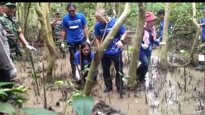 Lima Ribu Bibit Mangrove Ditanam di Dusun Baros Bantul Yogyakarta