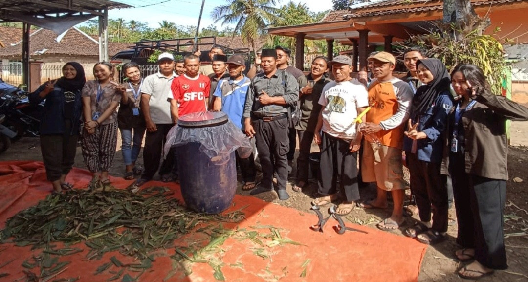 Hadapi Musim Kemarau, Mahasiswa KKN Mercu Buana Yogyakarta Kenalkan Fermentasi Pakan Ternak Dari Enzym Hingga Jamur