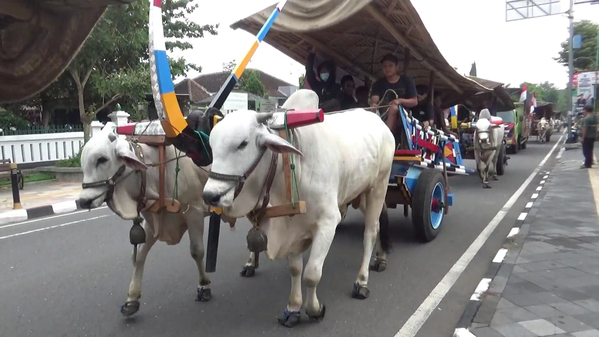 SLF dihambat, PPPSRS Malioboro City Akan Gelar Pawai Akbar 79 Gerobak Sapi dari Pemkab Sleman hingga Gubernuran