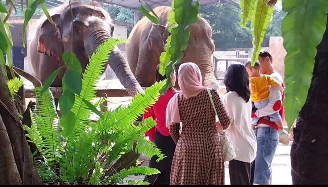 Gembira Loka Zoo jadi Destinasi Wisata Favorit Selama Liburan