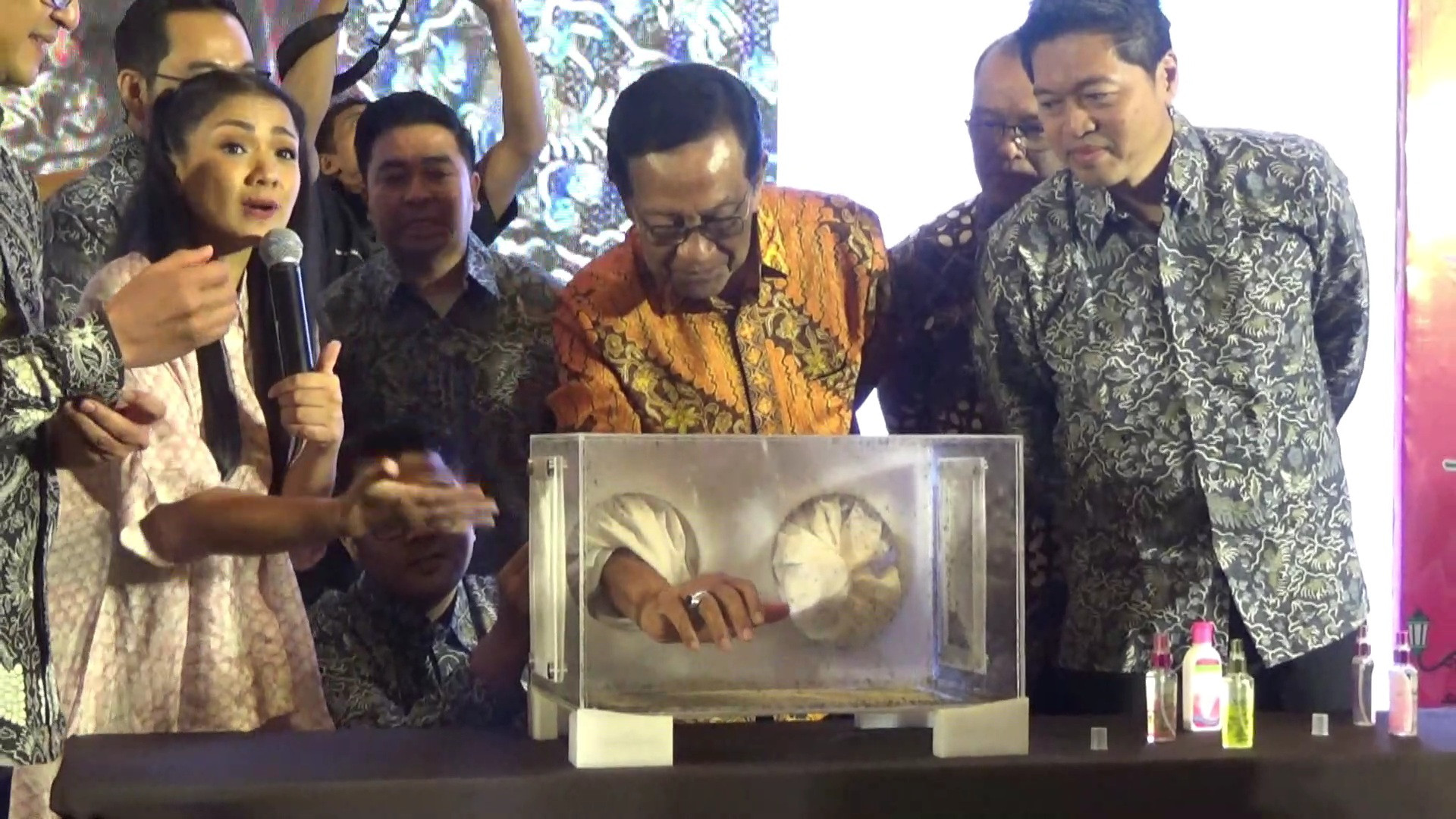 Cegah DBD, DIY Gandeng Enesis Luncurkan Program Bebas Nyamuk